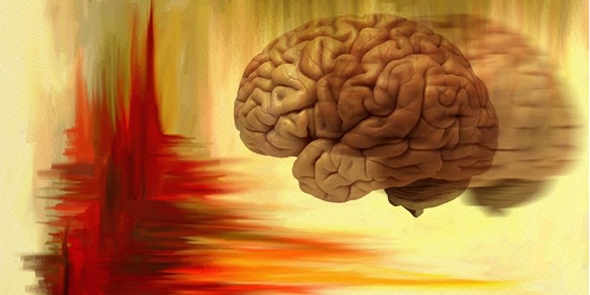 Thumbnails Image - Interesting Facts About the Human Memory [Plethrons.Com]
